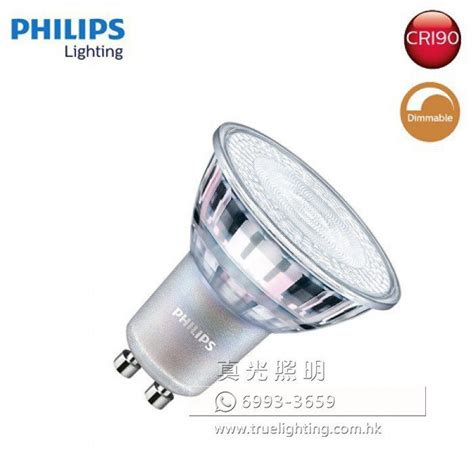 燈胆|燈膽/光源 LED Bulbs 